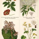 ‘Gold from Newton’s Apple Tree’ Traces Natural Pigment Recipes from the Ancient World to Today — Colossal