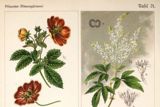 ‘Gold from Newton’s Apple Tree’ Traces Natural Pigment Recipes from the Ancient World to Today — Colossal