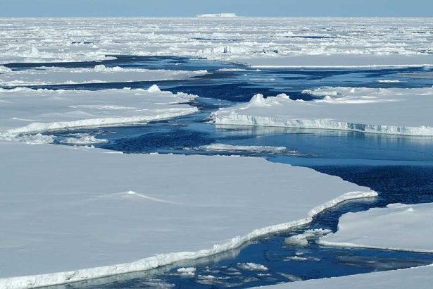 Guest Idea: Finding a Northwest Passage to the Sea