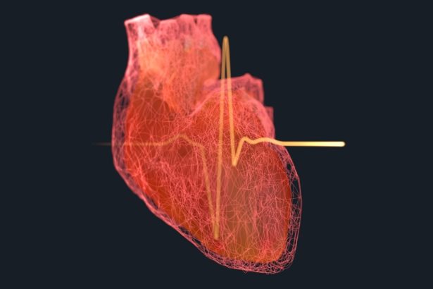 Huge Study Links 99% of Heart Attacks And Strokes With 4 Risk Factors : ScienceAlert