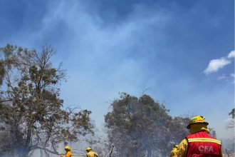 Hundreds of homes lost as Aussie bushfires take toll