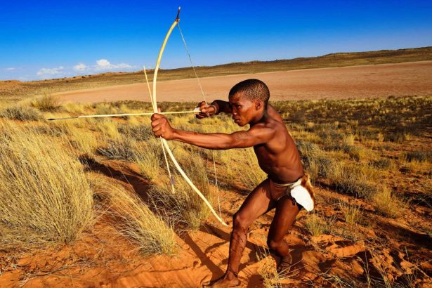 Hunting with poison arrows may have begun 60,000 years ago in Africa