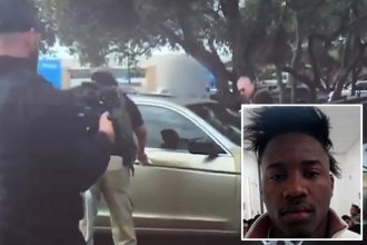 Illegal Cuban migrant caught on video ramming ICE vehicles in Texas