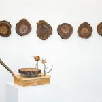 In ‘Funeral for a Tree,’ Steve Parker Etches Bird Song into Playable Oak Records — Colossal