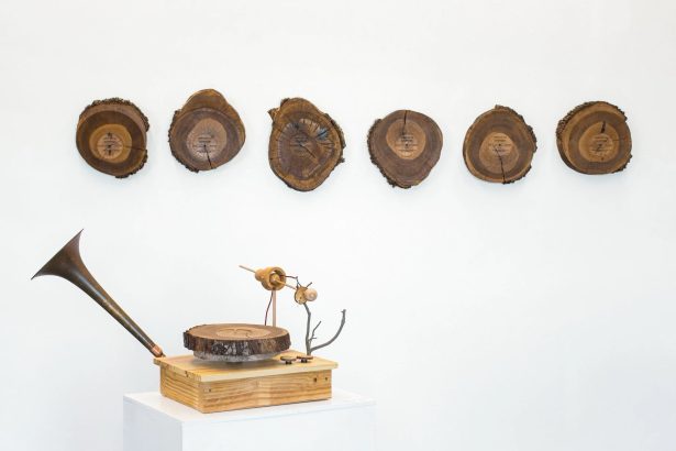 In ‘Funeral for a Tree,’ Steve Parker Etches Bird Song into Playable Oak Records — Colossal