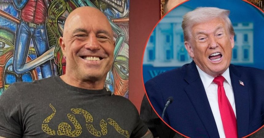 Inside Story of Why Joe Rogan has Finally Gone Sour on Trump