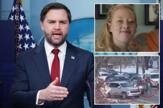 JD Vance ‘certain’ Renee Nicole Good ‘violated the law’ as VP says deadly ICE shooting was justified