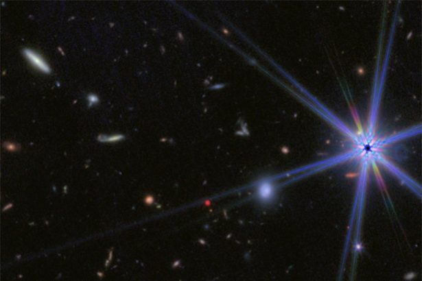 JWST’s ‘Little Red Dots’ May Be ‘Black Hole Stars’