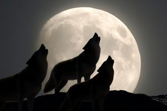 January’s Wolf Supermoon Is Getting a Rare Triple Brightness Boost : ScienceAlert