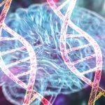 ‘Junk’ DNA Could Hide Switches That Allow Alzheimer’s to Take Hold : ScienceAlert