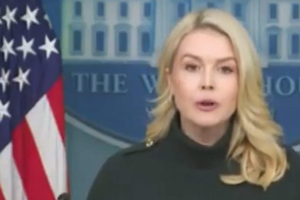 Karoline Leavitt Blames Democrats For The Trump Administration Murder Of Alex Pretti