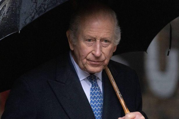 King Charles Facing Backlash for Glaring Omission From Christmas Speech