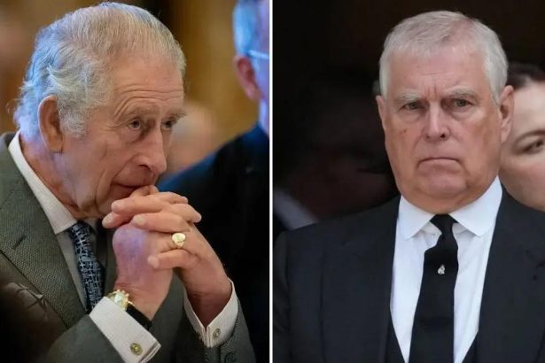 King Charles Locked Andrew Windsor’s Shotguns Amid Suicide Fears