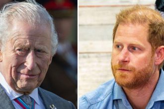 King Charles ‘Refuses to Meet’ With Prince Harry During His UK Return