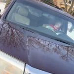 Leaked ICE Agent Video Of Renee Good Murder Backfires On The Trump Administration