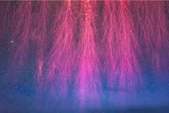 Lightning Comes in Many Strange Forms. Here’s The Science. : ScienceAlert