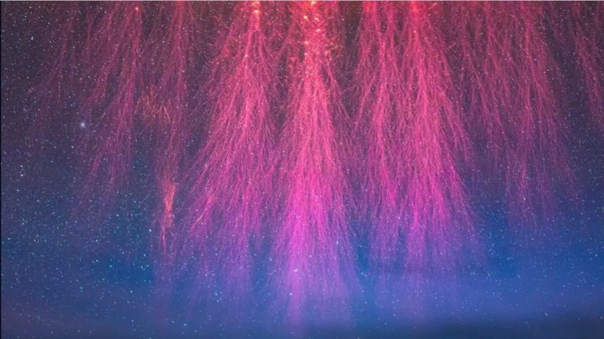 Lightning Comes in Many Strange Forms. Here’s The Science. : ScienceAlert