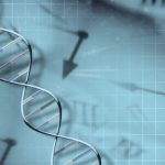 Long life in your family tree? Study suggests longevity is inherited