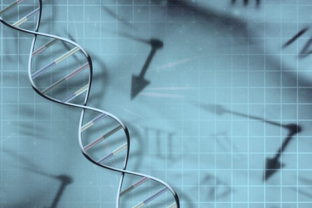 Long life in your family tree? Study suggests longevity is inherited