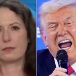 Maggie Haberman Issues Stark Warning On Trump’s Greenland ‘Deal’