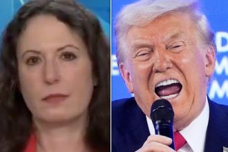 Maggie Haberman Issues Stark Warning On Trump’s Greenland ‘Deal’