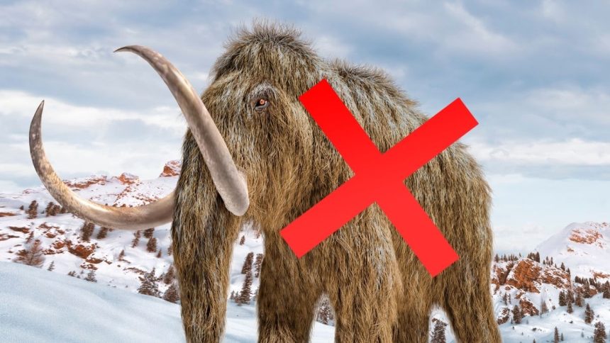 ‘Mammoth’ Bones Kept in a Museum For 70 Years Turn Out to Be An Entirely Different Animal : ScienceAlert