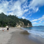 Man dies in drowning at Coromandel beach