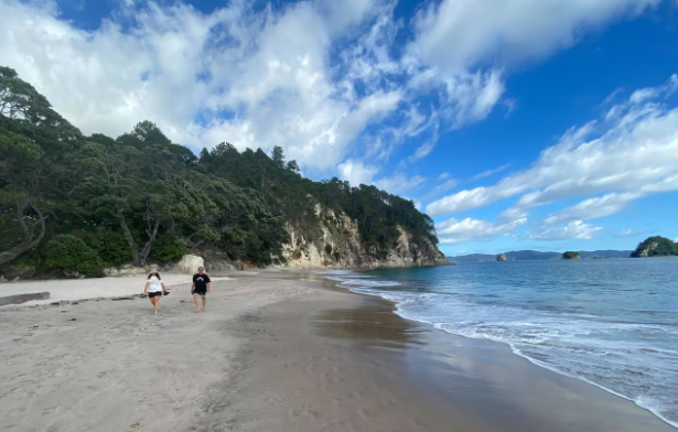 Man dies in drowning at Coromandel beach