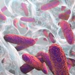 Man whose gut made its own alcohol gets relief from faecal transplant