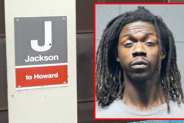 Man with 14 previous arrests sexually abused woman in CTA elevator: Chicago police