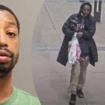 Man with 57 arrests pleads guilty in random Loop pipe attack, will not go to prison