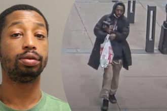 Man with 57 arrests pleads guilty in random Loop pipe attack, will not go to prison