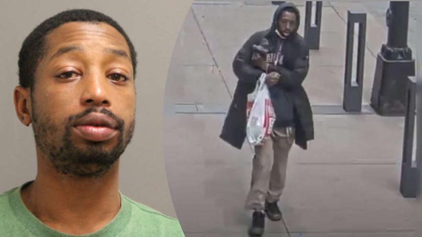 Man with 57 arrests pleads guilty in random Loop pipe attack, will not go to prison