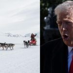 Meet Greenland’s Brutal Dogs Of War Ready To Face US Invasion