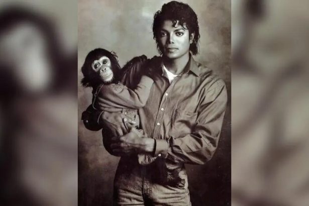 Michael Jackson’s Chimp Bubbles Lives Quiet Life After Fame