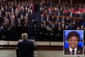 Michigan Rep. Shri Thanedar slammed for staying seated during Trump speech honoring victims’ families