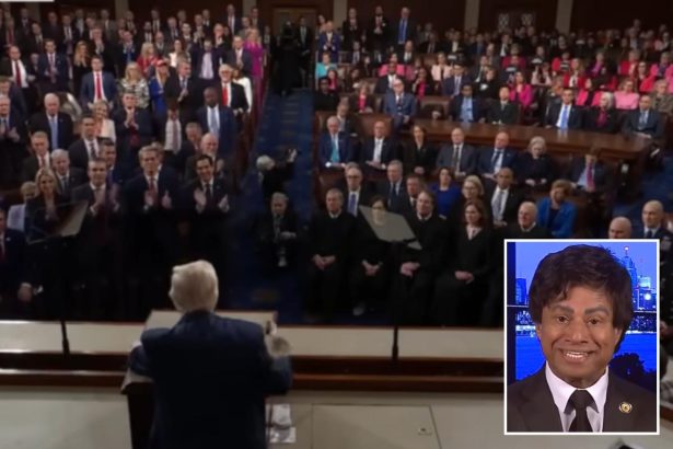 Michigan Rep. Shri Thanedar slammed for staying seated during Trump speech honoring victims’ families