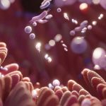 Microbiome study hints that fibre could be linked to better sleep