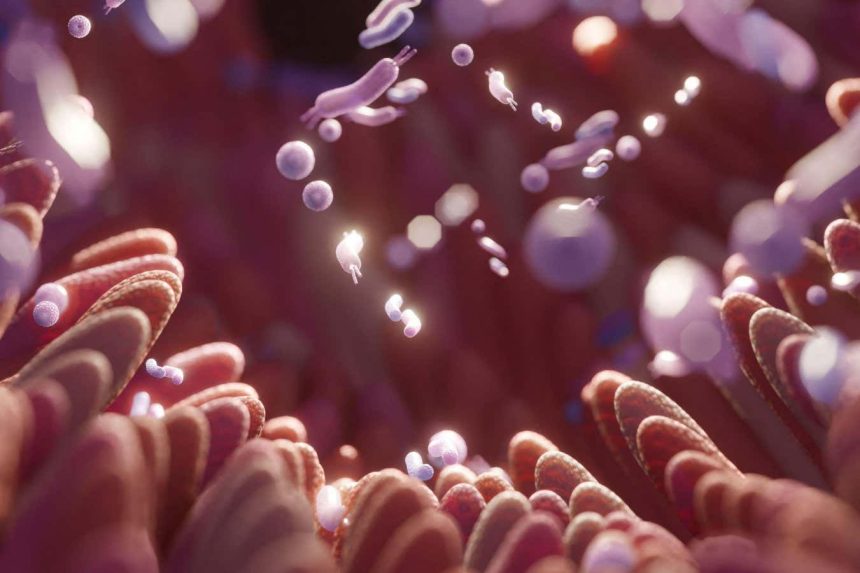 Microbiome study hints that fibre could be linked to better sleep