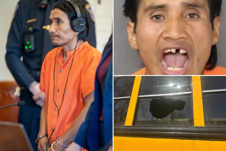 ‘Monster’ rock-thrower who fractured skull of 8-year-old girl on school bus is an illegal migrant from Mexico: DHS