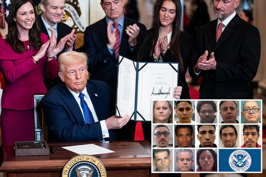 More than 20K criminal illegal migrants arrested since passage of Laken Riley Act: officials