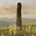 Mysterious Giants Could Be a Whole New Kind of Life That No Longer Exists : ScienceAlert