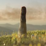 Mystery Prototaxites tower fossils may represent a newly discovered kind of life