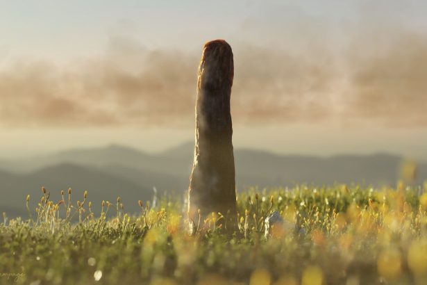 Mystery Prototaxites tower fossils may represent a newly discovered kind of life