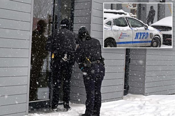 NYC mom accused of stuffing newborn into duffel bag for days cut loose: docs