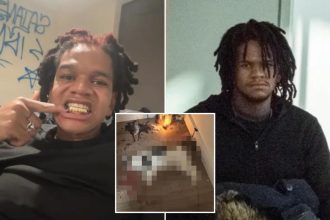 NYC wannabe rapper accused of torturing, killing stray cat indicted on animal cruelty charges: DA