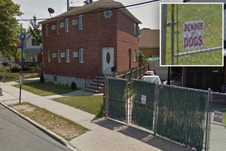 NYPD cops shoot, wound ‘vicious’ pit bull that had been attacking people at bus stop: police