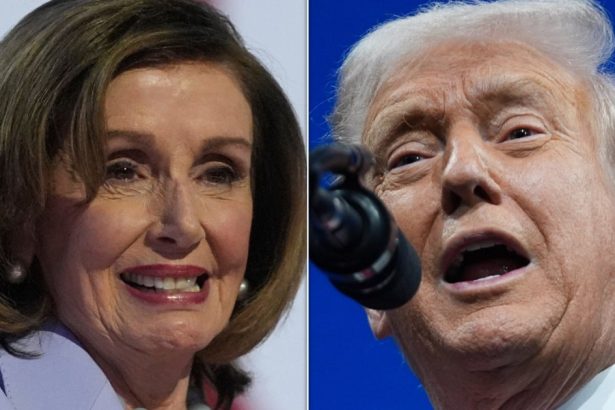 Nancy Pelosi Sounds Alarm On Trump’s ‘Mental Incapacity’
