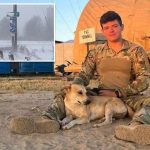 National Guardsman, 22, killed in multi-car crash on Pennsylvania highway during whiteout conditions