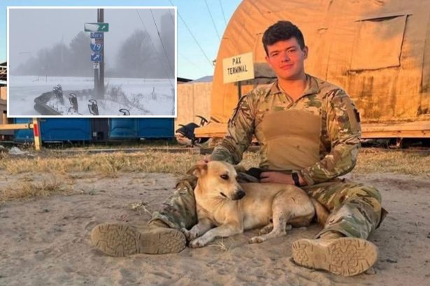 National Guardsman, 22, killed in multi-car crash on Pennsylvania highway during whiteout conditions